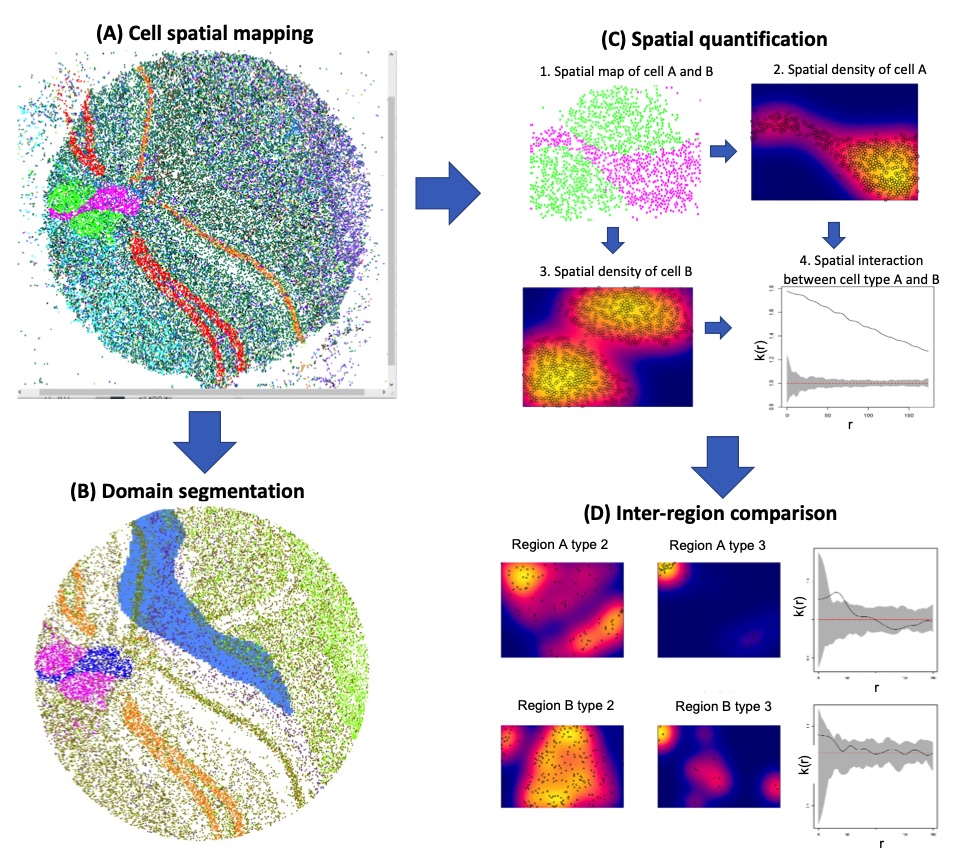 Detection results of interaction factor of spatial heterogeneity in